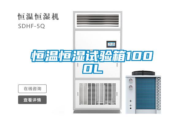 恒溫恒濕試驗(yàn)箱1000L