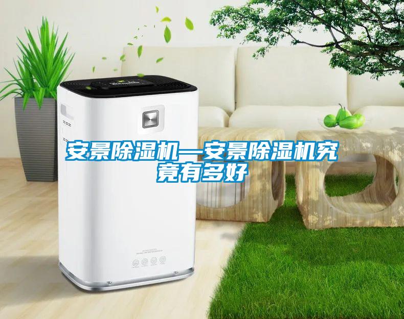 安景除濕機—安景除濕機究竟有多好