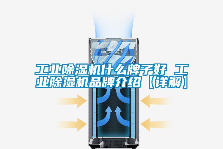 工業(yè)除濕機(jī)什么牌子好 工業(yè)除濕機(jī)品牌介紹【詳解】