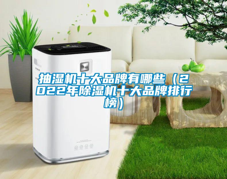 抽濕機十大品牌有哪些（2022年除濕機十大品牌排行榜）