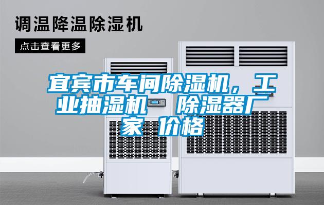 宜賓市車間除濕機，工業(yè)抽濕機  除濕器廠家 價格