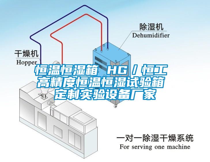 恒溫恒濕箱 HG／恒工 高精度恒溫恒濕試驗(yàn)箱 定制實(shí)驗(yàn)設(shè)備廠家