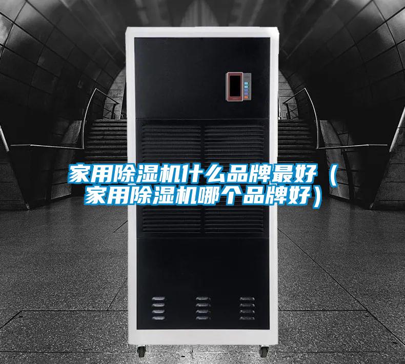 家用除濕機什么品牌最好（家用除濕機哪個品牌好）