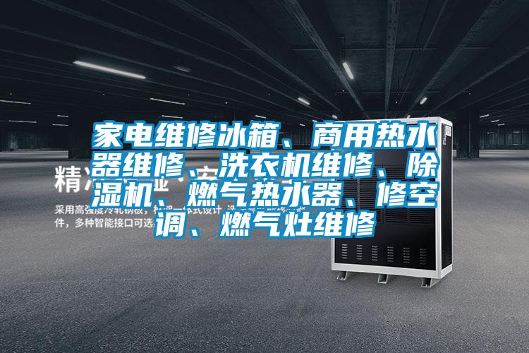 家電維修冰箱、商用熱水器維修、洗衣機(jī)維修、除濕機(jī)、燃?xì)鉄崴?、修空調(diào)、燃?xì)庠罹S修