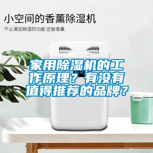 家用除濕機的工作原理？有沒有值得推薦的品牌？