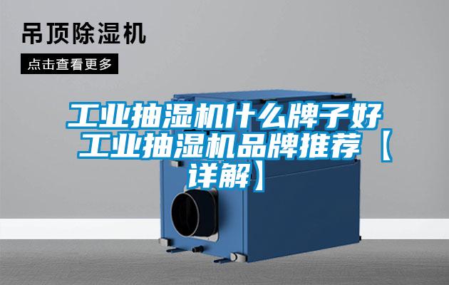 工業(yè)抽濕機(jī)什么牌子好 工業(yè)抽濕機(jī)品牌推薦【詳解】