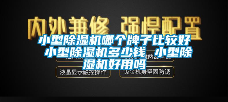 小型除濕機(jī)哪個(gè)牌子比較好 小型除濕機(jī)多少錢 小型除濕機(jī)好用嗎