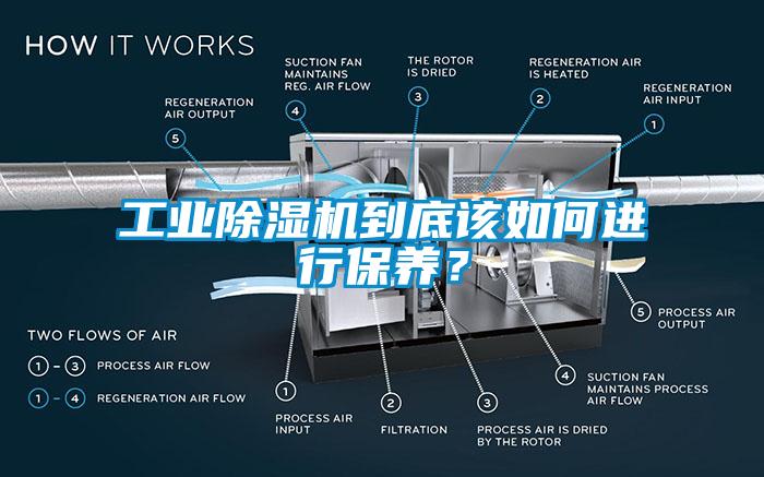 工業(yè)除濕機(jī)到底該如何進(jìn)行保養(yǎng)？