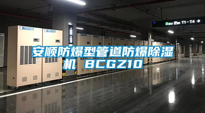 安順防爆型管道防爆除濕機 BCGZ10