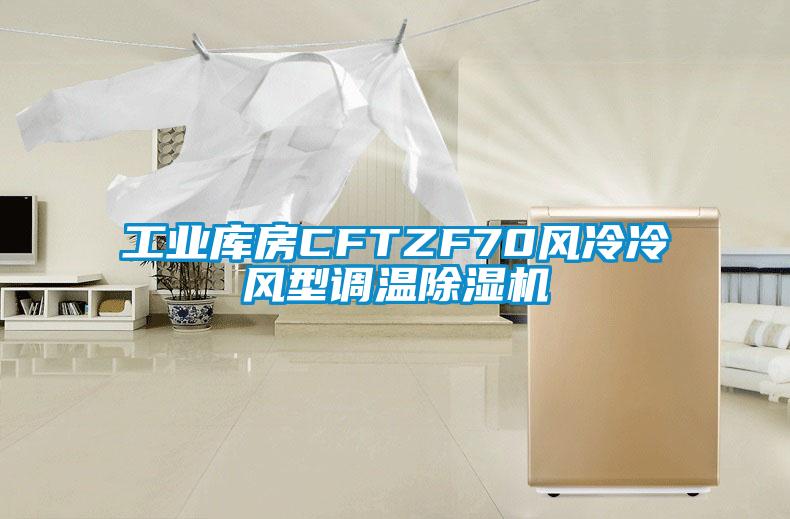 工業(yè)庫房CFTZF70風冷冷風型調(diào)溫除濕機