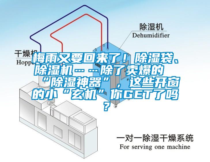 梅雨又要回來了！除濕袋、除濕機(jī)……除了賣爆的“除濕神器”，這些開窗的小“玄機(jī)”你GET了嗎？