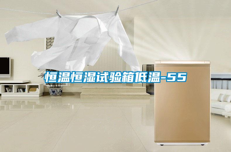 恒溫恒濕試驗(yàn)箱低溫-55℃