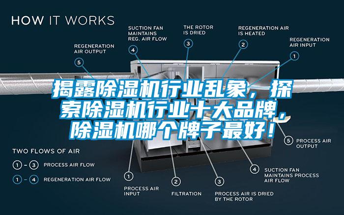 揭露除濕機(jī)行業(yè)亂象，探索除濕機(jī)行業(yè)十大品牌，除濕機(jī)哪個(gè)牌子最好！