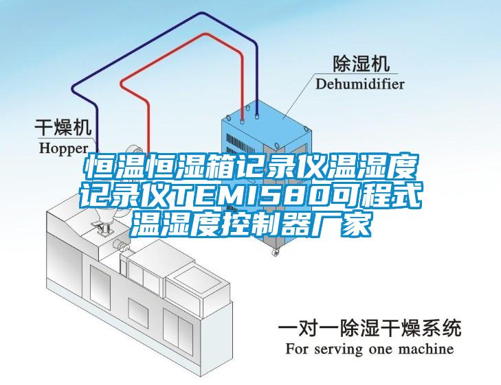 恒溫恒濕箱記錄儀溫濕度記錄儀TEMI580可程式溫濕度控制器廠家