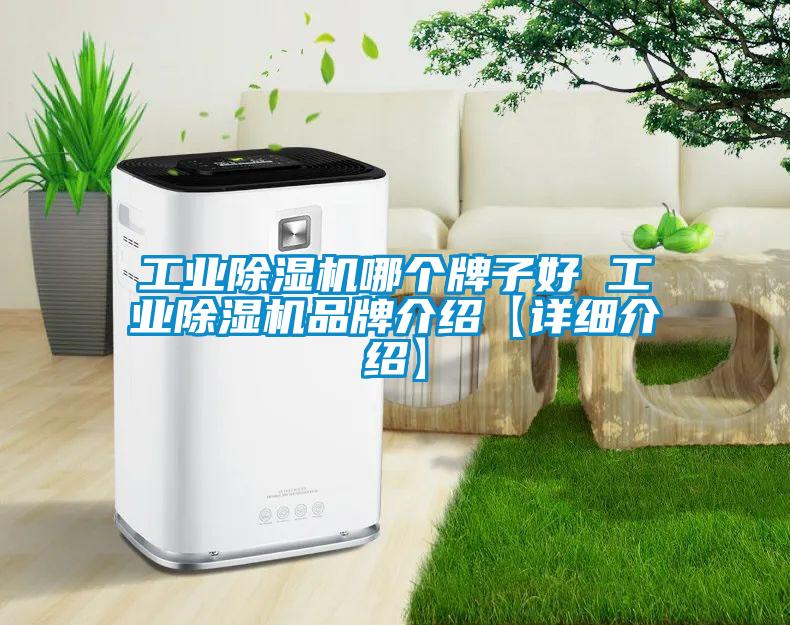 工業(yè)除濕機(jī)哪個(gè)牌子好 工業(yè)除濕機(jī)品牌介紹【詳細(xì)介紹】