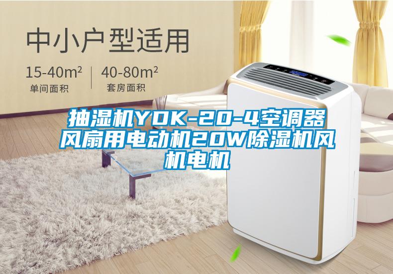 抽濕機(jī)YDK-20-4空調(diào)器風(fēng)扇用電動(dòng)機(jī)20W除濕機(jī)風(fēng)機(jī)電機(jī)