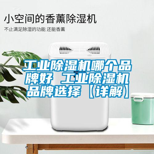 工業(yè)除濕機(jī)哪個(gè)品牌好 工業(yè)除濕機(jī)品牌選擇【詳解】