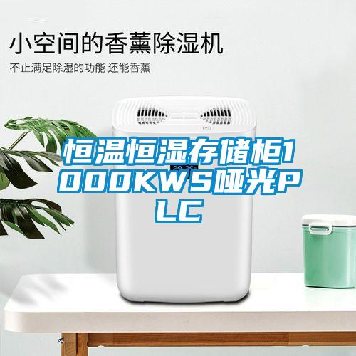 恒溫恒濕存儲柜1000KWS啞光PLC