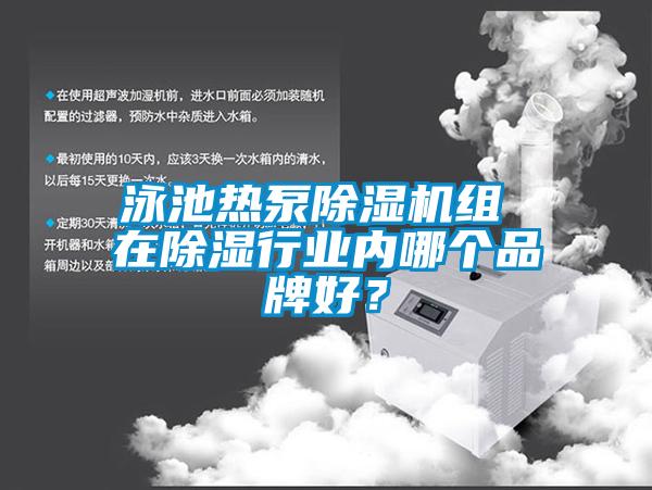 泳池?zé)岜贸凉駲C(jī)組 在除濕行業(yè)內(nèi)哪個(gè)品牌好？