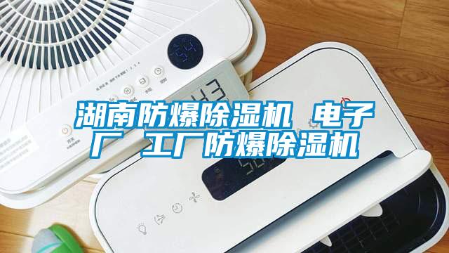 湖南防爆除濕機(jī) 電子廠 工廠防爆除濕機(jī)