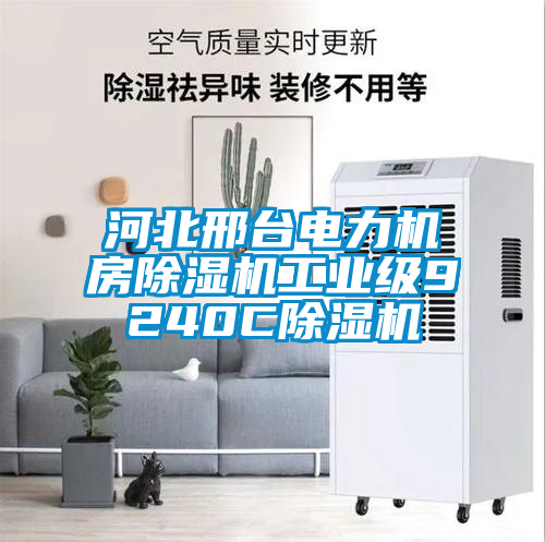 河北邢臺電力機房除濕機工業(yè)級9240C除濕機