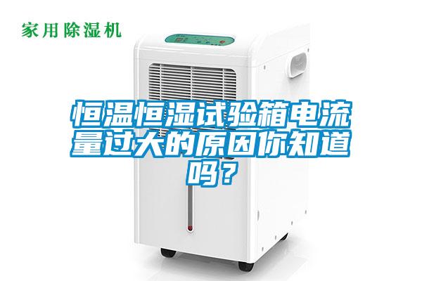 恒溫恒濕試驗箱電流量過大的原因你知道嗎？