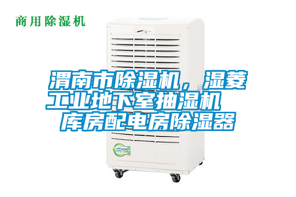 渭南市除濕機，濕菱工業(yè)地下室抽濕機  庫房配電房除濕器