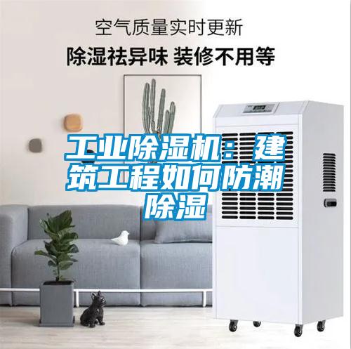 工業(yè)除濕機(jī)：建筑工程如何防潮除濕