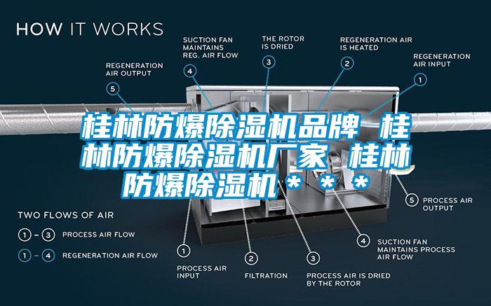 桂林防爆除濕機品牌 桂林防爆除濕機廠家 桂林防爆除濕機＊＊＊