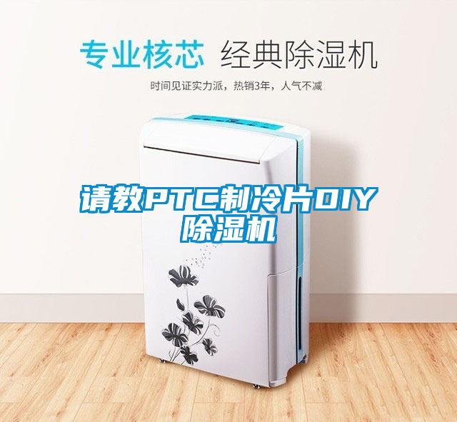 請教PTC制冷片DIY除濕機