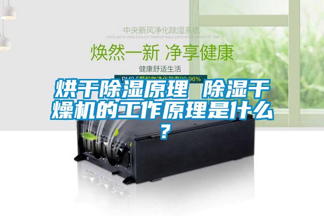 烘干除濕原理 除濕干燥機的工作原理是什么？