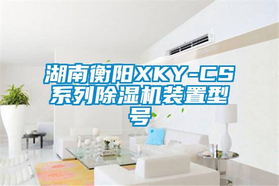 湖南衡陽XKY-CS系列除濕機裝置型號