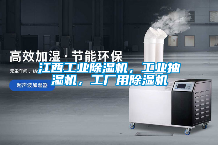 江西工業(yè)除濕機，工業(yè)抽濕機，工廠用除濕機