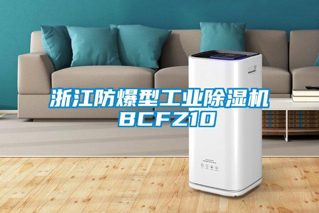 浙江防爆型工業(yè)除濕機(jī) BCFZ10