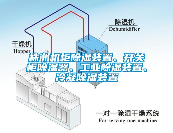 株洲機柜除濕裝置、開關柜除濕器、工業(yè)除濕裝置、冷凝除濕裝置