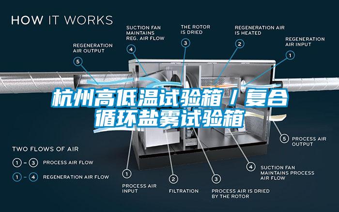 杭州高低溫試驗(yàn)箱／復(fù)合循環(huán)鹽霧試驗(yàn)箱