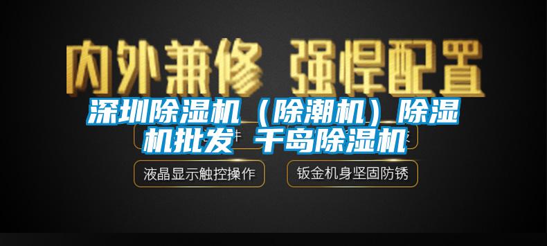 深圳除濕機(jī)（除潮機(jī)）除濕機(jī)批發(fā) 千島除濕機(jī)