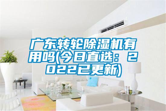 廣東轉(zhuǎn)輪除濕機有用嗎(今日直選：2022已更新)