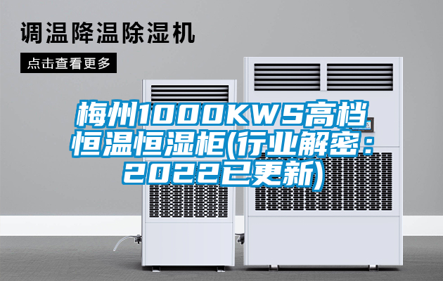 梅州1000KWS高檔恒溫恒濕柜(行業(yè)解密：2022已更新)