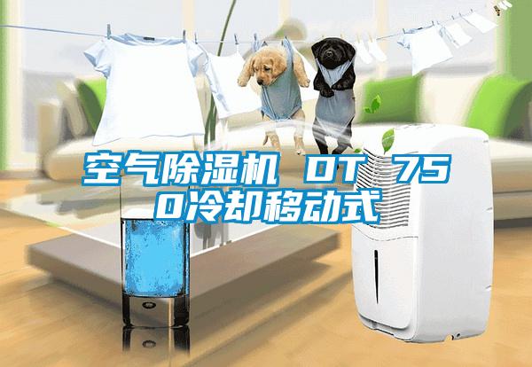 空氣除濕機(jī) DT 750冷卻移動(dòng)式