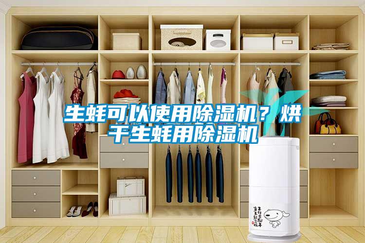 生蠔可以使用除濕機？烘干生蠔用除濕機