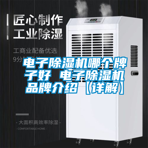 電子除濕機(jī)哪個(gè)牌子好 電子除濕機(jī)品牌介紹【詳解】