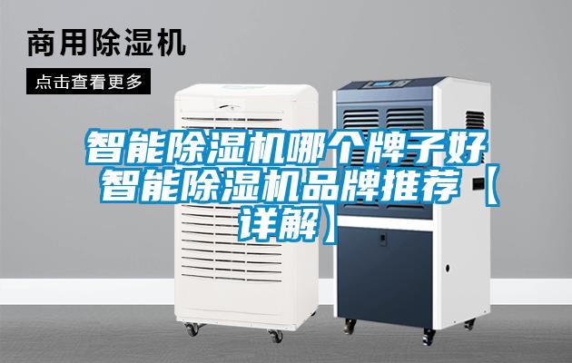 智能除濕機哪個牌子好 智能除濕機品牌推薦【詳解】