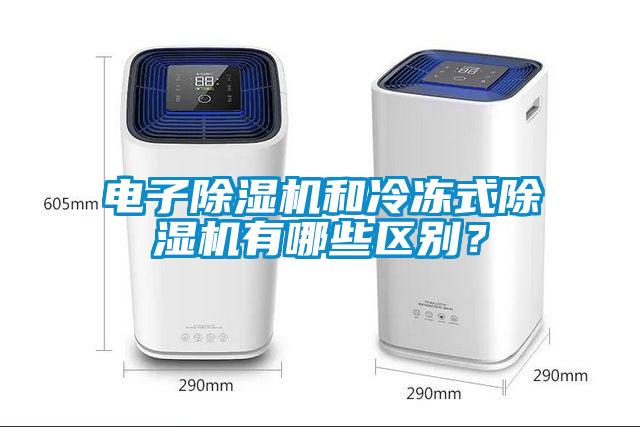 電子除濕機(jī)和冷凍式除濕機(jī)有哪些區(qū)別？