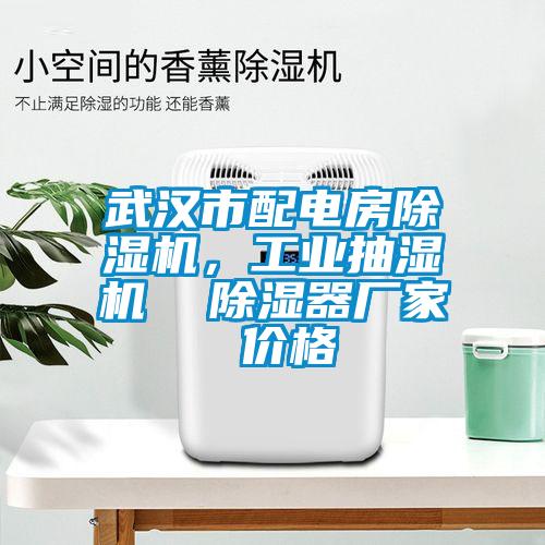 武漢市配電房除濕機(jī)，工業(yè)抽濕機(jī)  除濕器廠家 價(jià)格