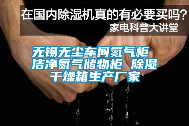 無錫無塵車間氮氣柜 潔凈氮氣儲物柜 除濕干燥箱生產(chǎn)廠家