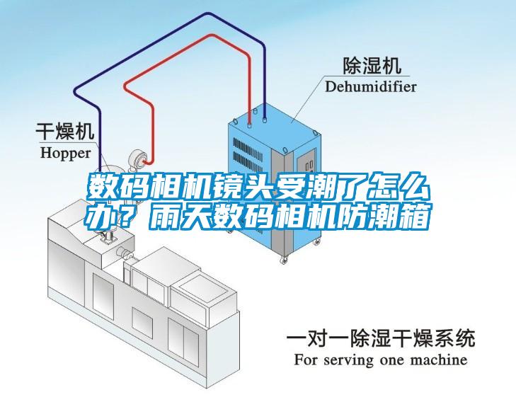 數(shù)碼相機鏡頭受潮了怎么辦？雨天數(shù)碼相機防潮箱