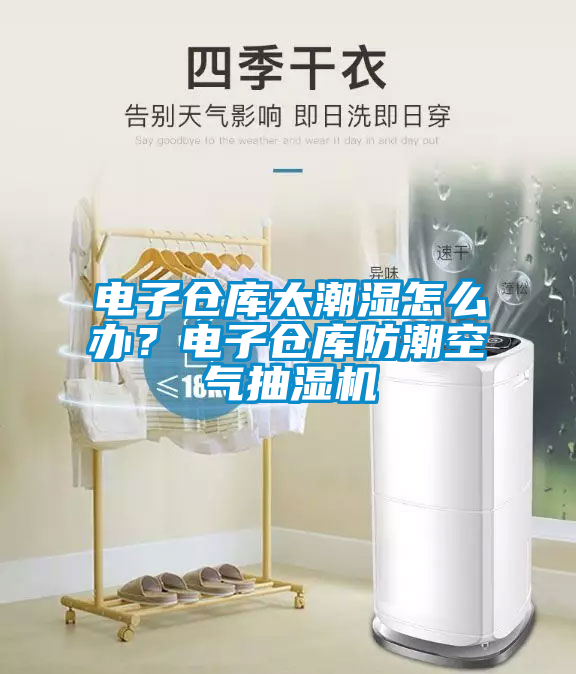 電子倉庫太潮濕怎么辦？電子倉庫防潮空氣抽濕機