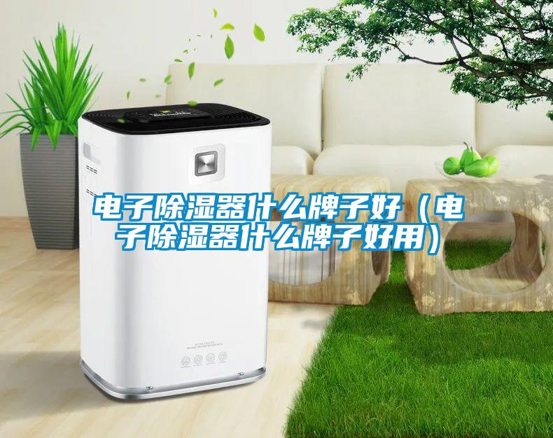 電子除濕器什么牌子好（電子除濕器什么牌子好用）