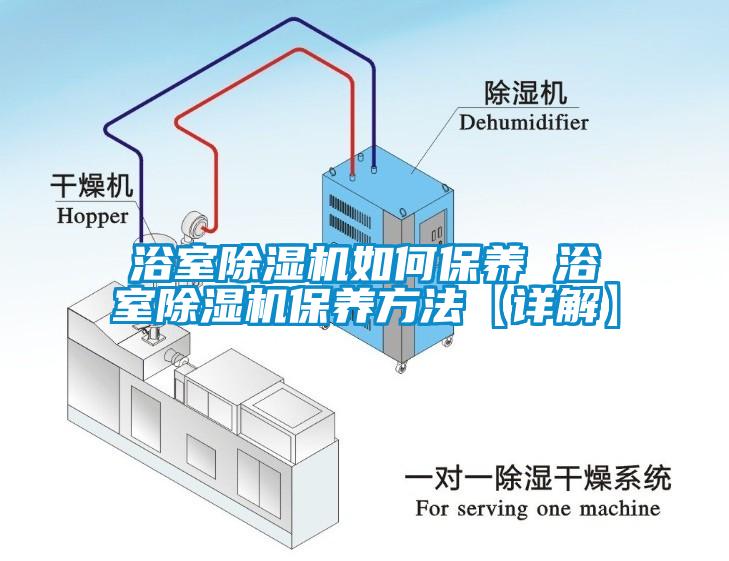 浴室除濕機(jī)如何保養(yǎng) 浴室除濕機(jī)保養(yǎng)方法【詳解】